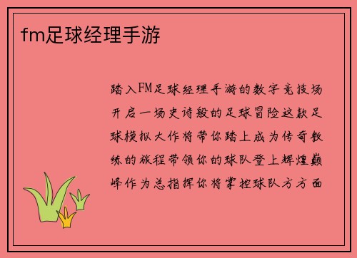 fm足球经理手游
