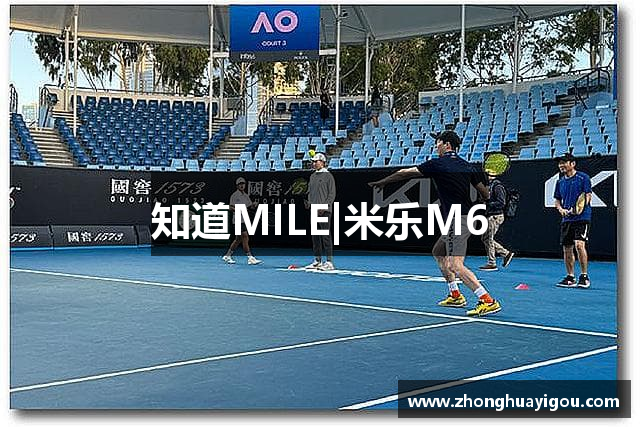 知道MILE|米乐M6
